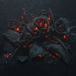 Evol Album Cover