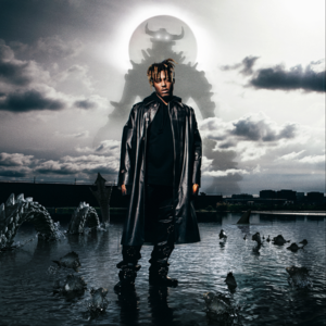 Fighting Demons Album Cover