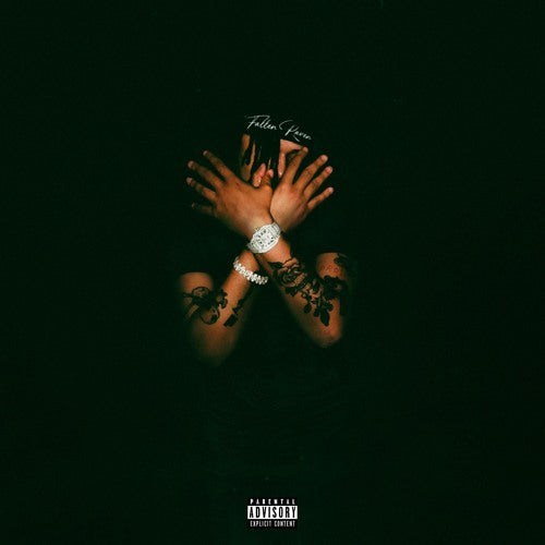 FALLEN RAVEN Album Cover