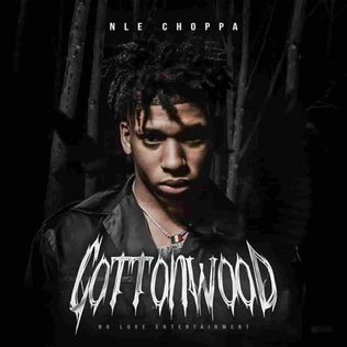 Cottonwood EP Cover