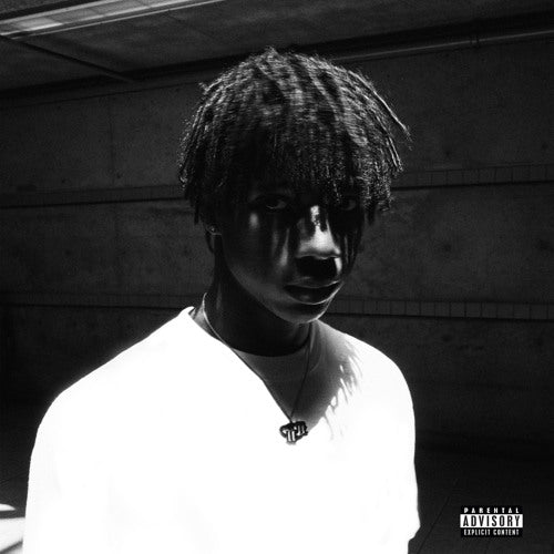 Back In Action 3.0 Album Cover